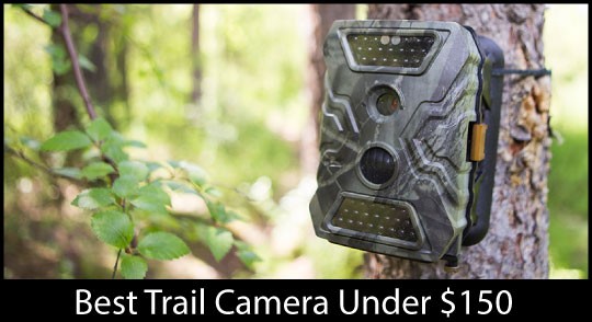 best trail camera under 150 review