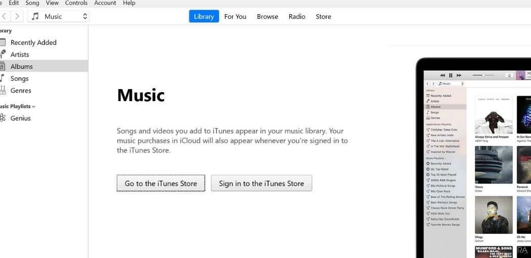 Step 6: Sign in to the iTunes Store | How to Get iTunes on Windows