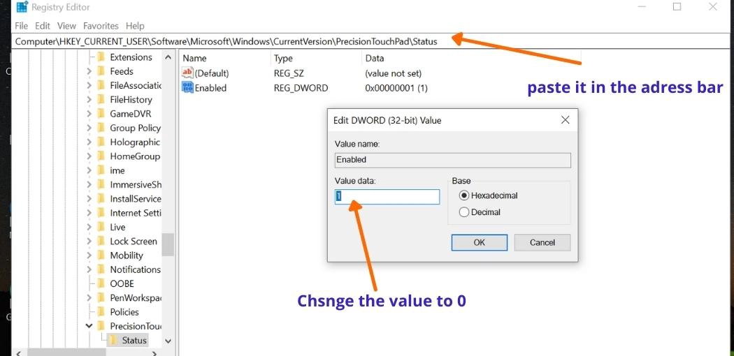Disabling the Touchpad via the Windows Registry