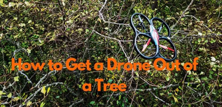How to Get a Drone Out of a Tree | remove a drone from a tree | get a drone out of a tall tree