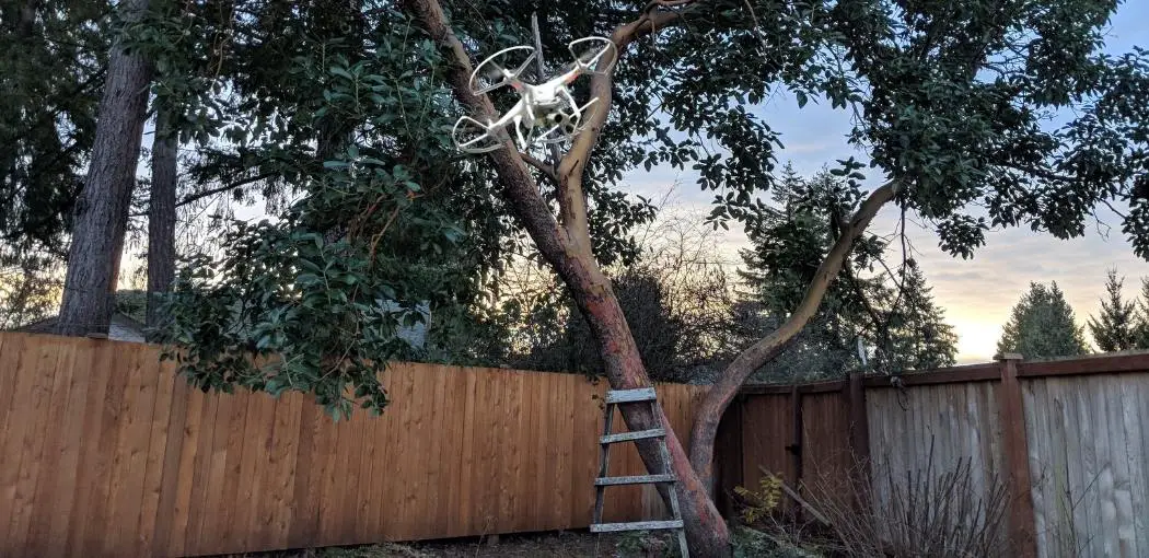 Methode four: Use a ladder to get your drone out of the tree
